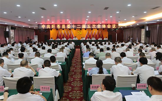 中共旺苍县委十二届五次全会举行第二次全体会议